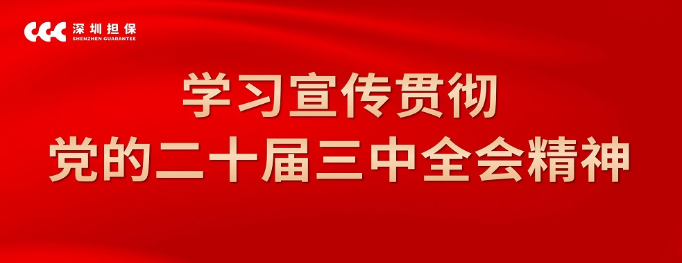 黨的二十屆三中全會(huì)